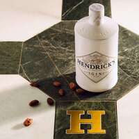 Hendricks_Another_lifestyle01 (1).jpg