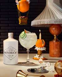 Hendricks_Another_lifestyle02 (2).jpg
