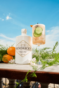 Hendricks_Another_lifestyle03 (2).png