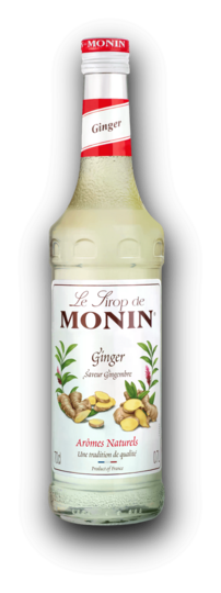 Le Sirop de MONIN Ginger 0,7L