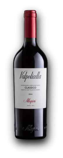 Allegrini Classico Valpolicella DOC 2024 12,5% 0,75L